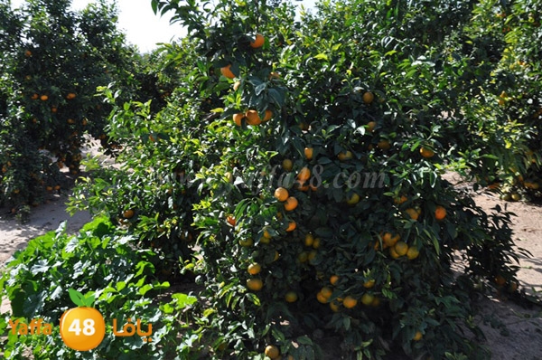 bayara visiting (9).JPG